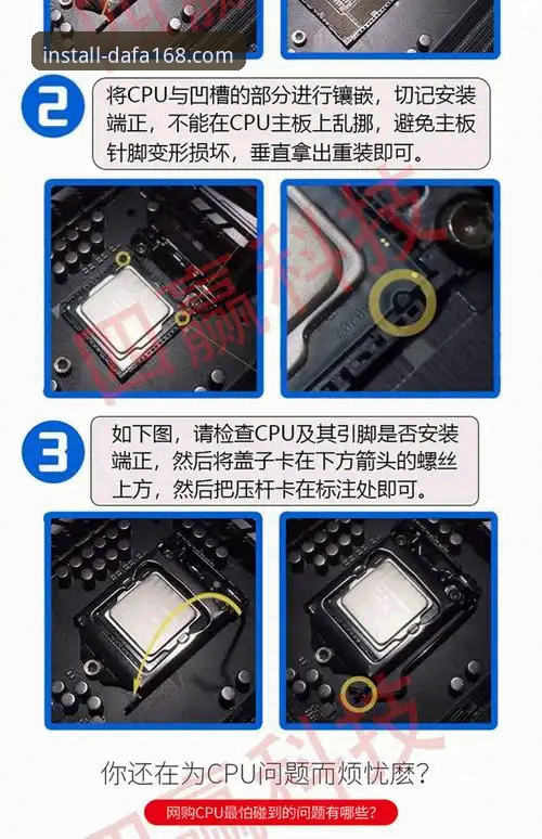 大发168安装与DF168使用教程全面对比：从下载到投注，新手必看指南
